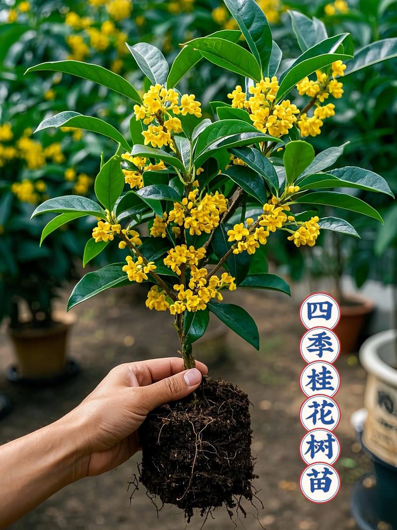 工程苗木：绿色施工的未来趋势